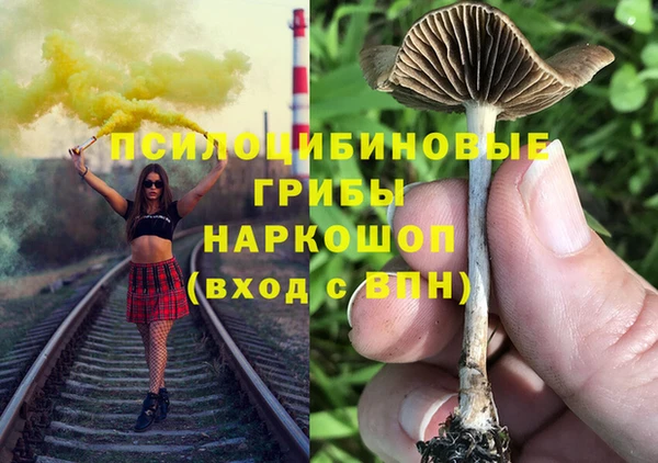 a pvp Алексеевка