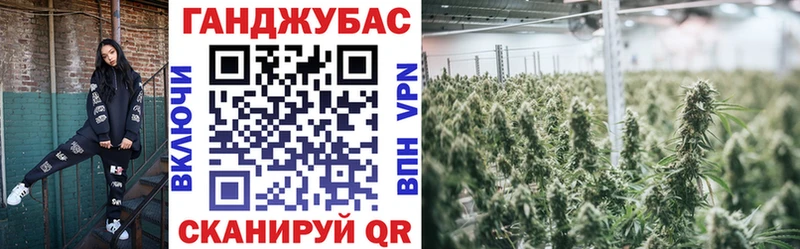 Бошки марихуана SATIVA & INDICA  OMG как войти  Ладушкин  цены  